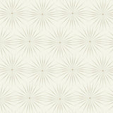 Wallpaper Starlight Wallpaper // White & Silver