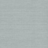 Wallpaper Tasar Silk Wallpaper // Blue