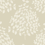 Wallpaper Tender Wallpaper // Pearl Taupe