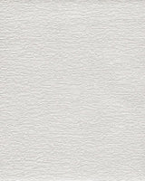 Wallpaper Texture & Trowel Wallpaper // White