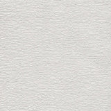 Wallpaper Texture & Trowel Wallpaper // White