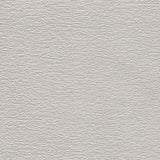 Wallpaper Texture & Trowel Wallpaper // White