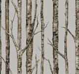 Wallpaper The Birches Wallpaper // Silver Grey & Taupe