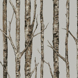 Wallpaper The Birches Wallpaper // Silver Grey & Taupe