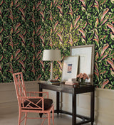 Wallpaper Tropical Love Birds Wallpaper // Black