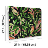 Wallpaper Tropical Love Birds Wallpaper // Black