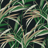 Wallpaper Tropical Paradise Wallpaper // Green & Black
