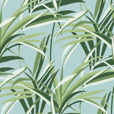 Wallpaper Tropical Paradise Wallpaper // Green & Light Blue