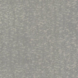 Wallpaper Weathered Cypress Wallpaper // Blue