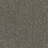 Wallpaper Weathered Cypress Wallpaper // Silver
