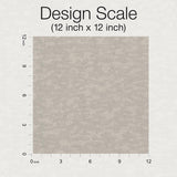 Wallpaper Weathered Cypress Wallpaper // Taupe