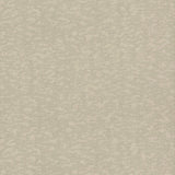 Wallpaper Weathered Cypress Wallpaper // Taupe