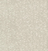 Wallpaper Weathered Cypress Wallpaper // White