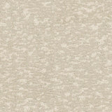 Wallpaper Weathered Cypress Wallpaper // White