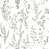 Wallpaper Wildflower Sprigs Wallpaper // Black & White