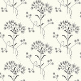 Wallpaper Wildflower Wallpaper // Black & White