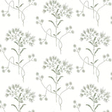 Wallpaper Wildflower Wallpaper // Green