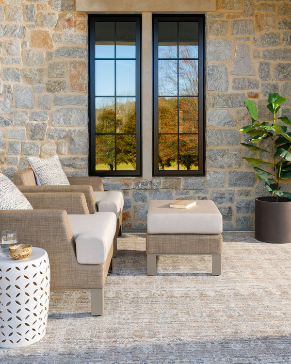 Rug Margaret Indoor Outdoor Area Rug // Taupe & Grey