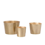 Holiday Decorative Objects Golden Scallop Pots // 3 Sizes