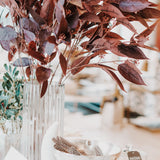 Home Accents Eucalyptus Seed Branch 36.5"