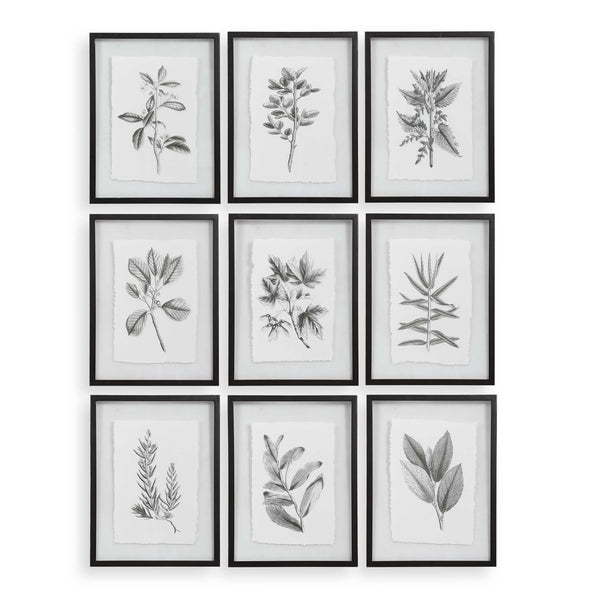 Wall Art Farmhouse Florals Framed Prints // Set of 9 