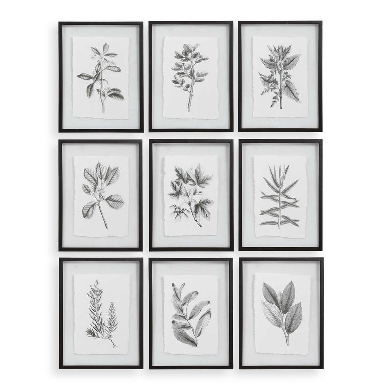 Wall Art Farmhouse Florals Framed Prints // Set of 9 