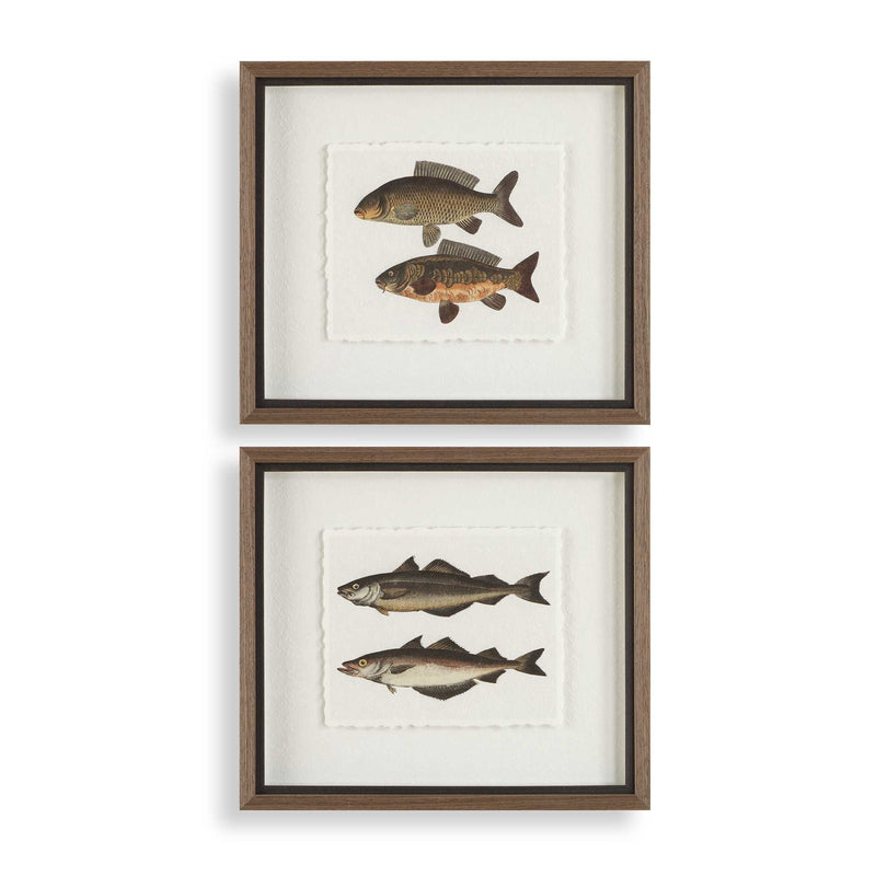 Wall Art The Catch Framed Fish Prints // Set of 2 