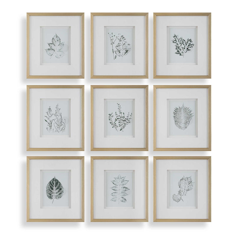 Wall Art Nature's Script Framed Botanical Prints // Set of 9 