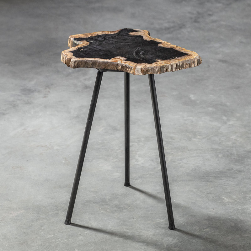 Accent Table Mircea Petrified Wood Accent Table 