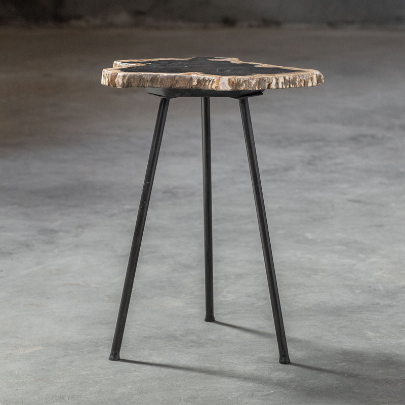 Accent Table Mircea Petrified Wood Accent Table 