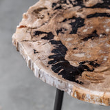 Accent Table Mircea Petrified Wood Accent Table 