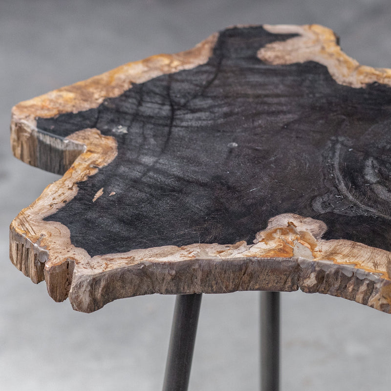 Accent Table Mircea Petrified Wood Accent Table 