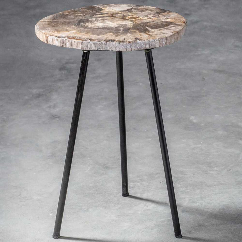 Accent Table Mircea Petrified Wood Accent Table 