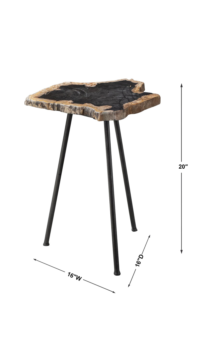 Accent Table Mircea Petrified Wood Accent Table 