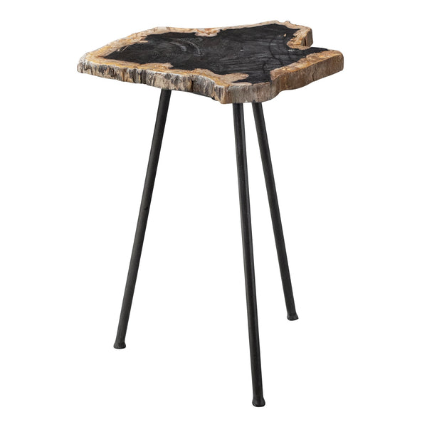 Accent Table Mircea Petrified Wood Accent Table 