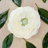 Mississippi Queen Magnolia Petite Pedestal Soap 