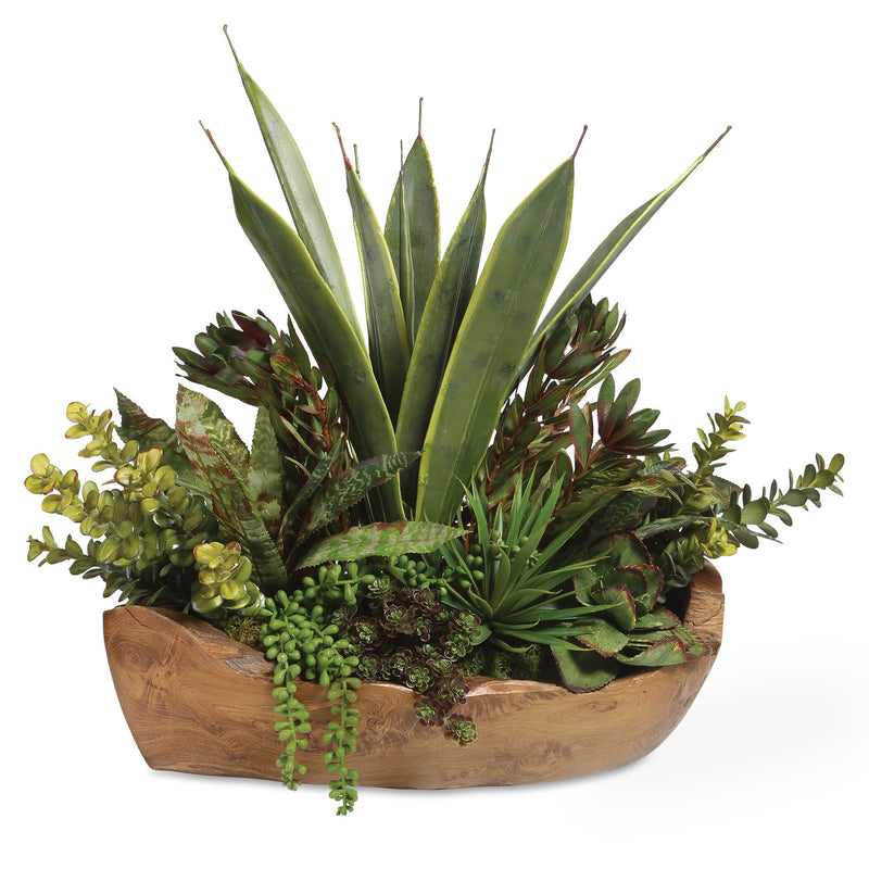 Home Accents Salar Succulents In Teak Bowl 