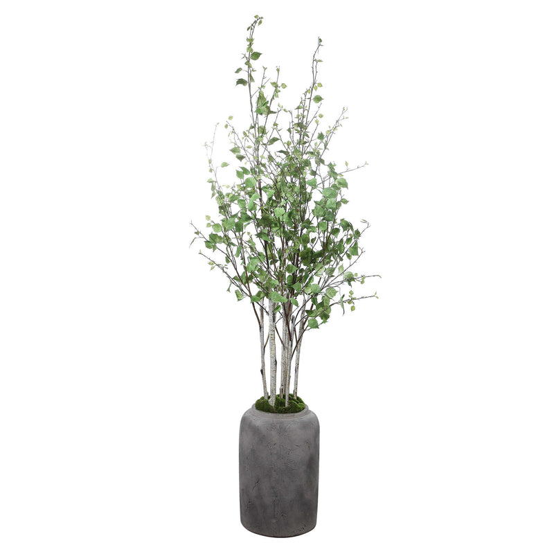 Home Accents Aldis Potted River Birch 