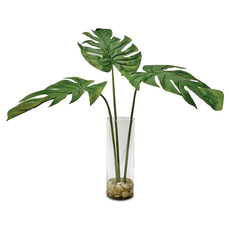 Home Accents Ibero Split Leaf Palm 