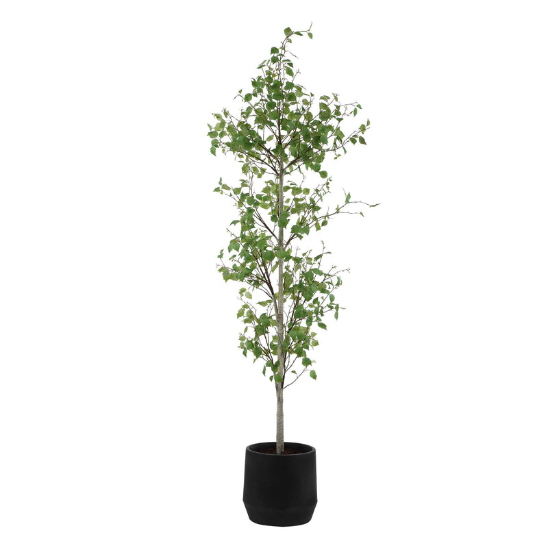 Home Accents Boreal Potted Birch Tree 