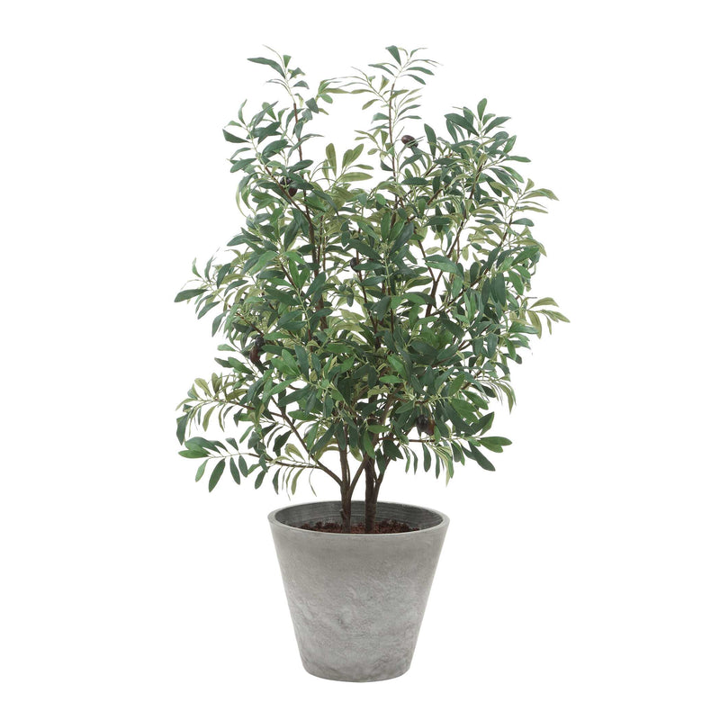 Home Accents Marisol Potted Olive Plant 