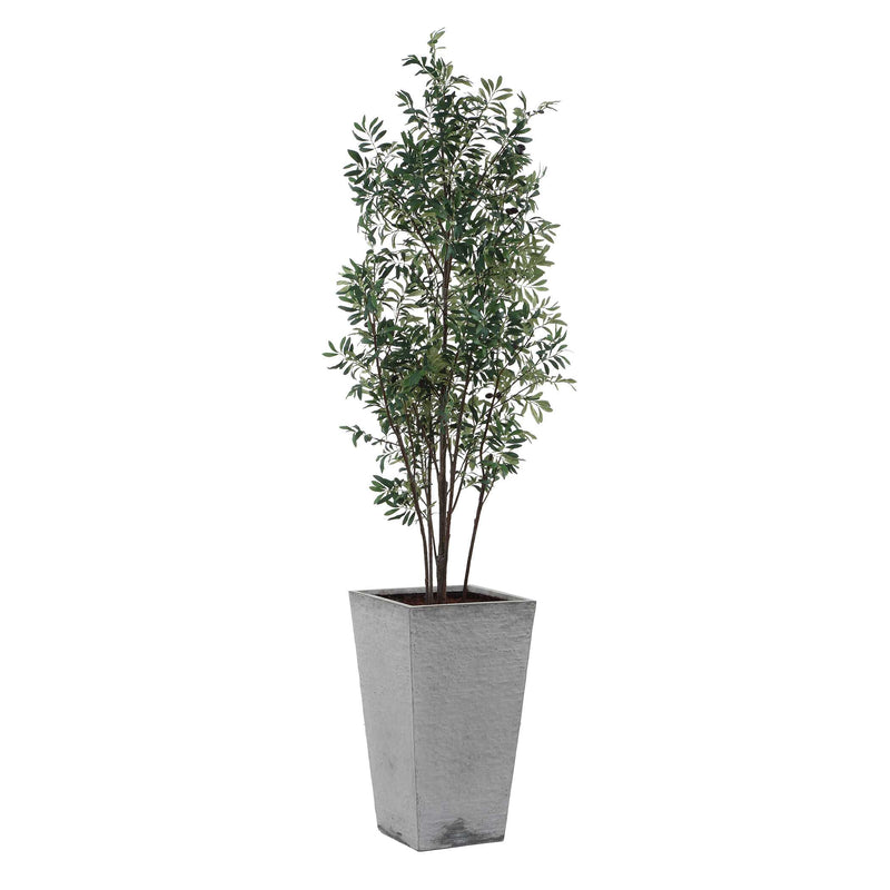 Home Accents Sonora Olive Tree In Planter 