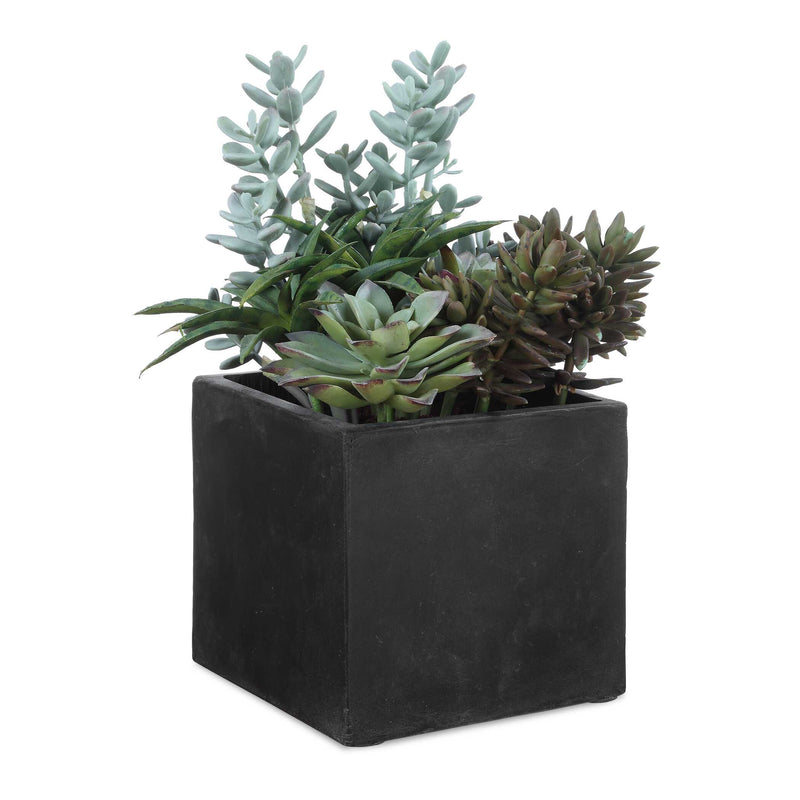 Home Accents Greystone Indoor-Outdoor Succulent 