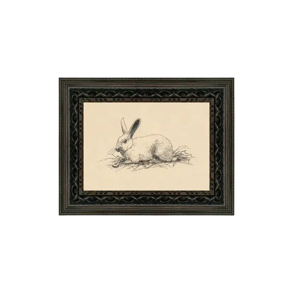 Wall Art Bunny Sketch Framed Artwork 