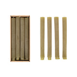  10" Olive Ribbed Taper Candles // Set of 12 