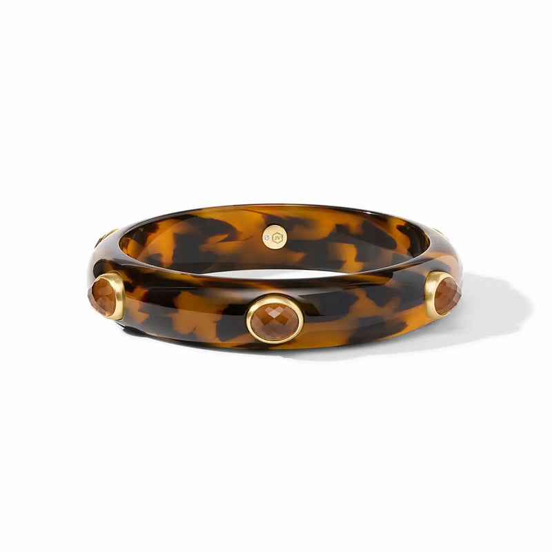 Lifestyle Carnaby Stone Bangle // Tortoise 