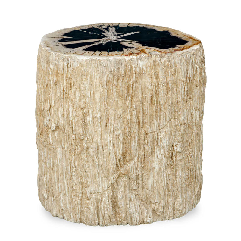 Accent Table Arco Petrified Wood Top Accent Table 