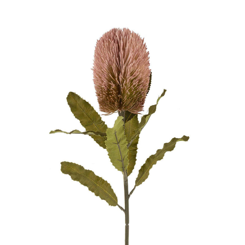  Banksia Floral Stem Pink 