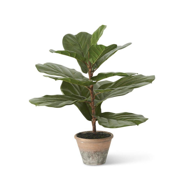 Potted Faux Fiddle Fig Tree // 24"