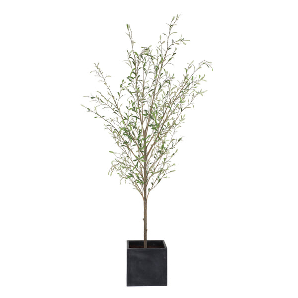 Home Accents Abundance Potted Olive Tree 
